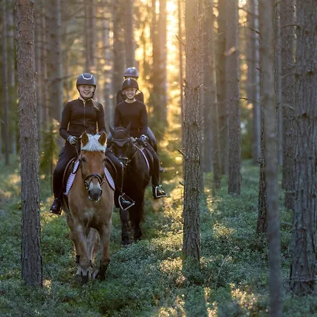 Chalet Mehtaemoekki *