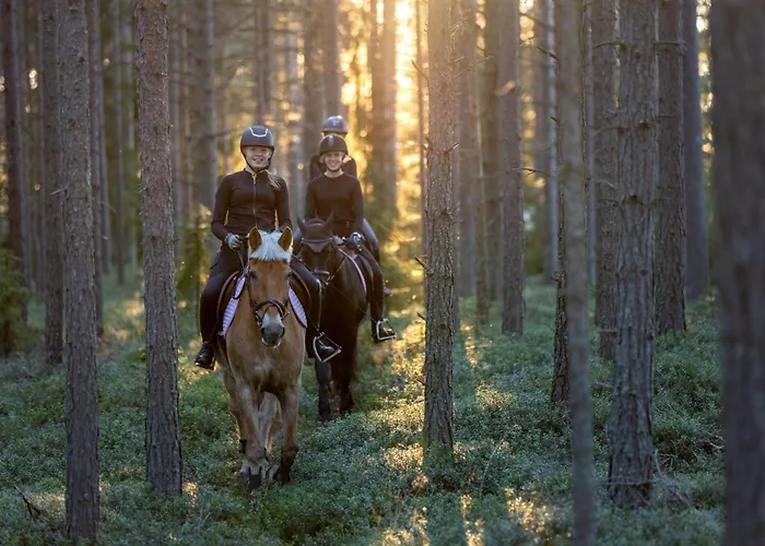 木屋 Mehtaemoekki *